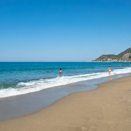 Kleopatra Celine Alanya